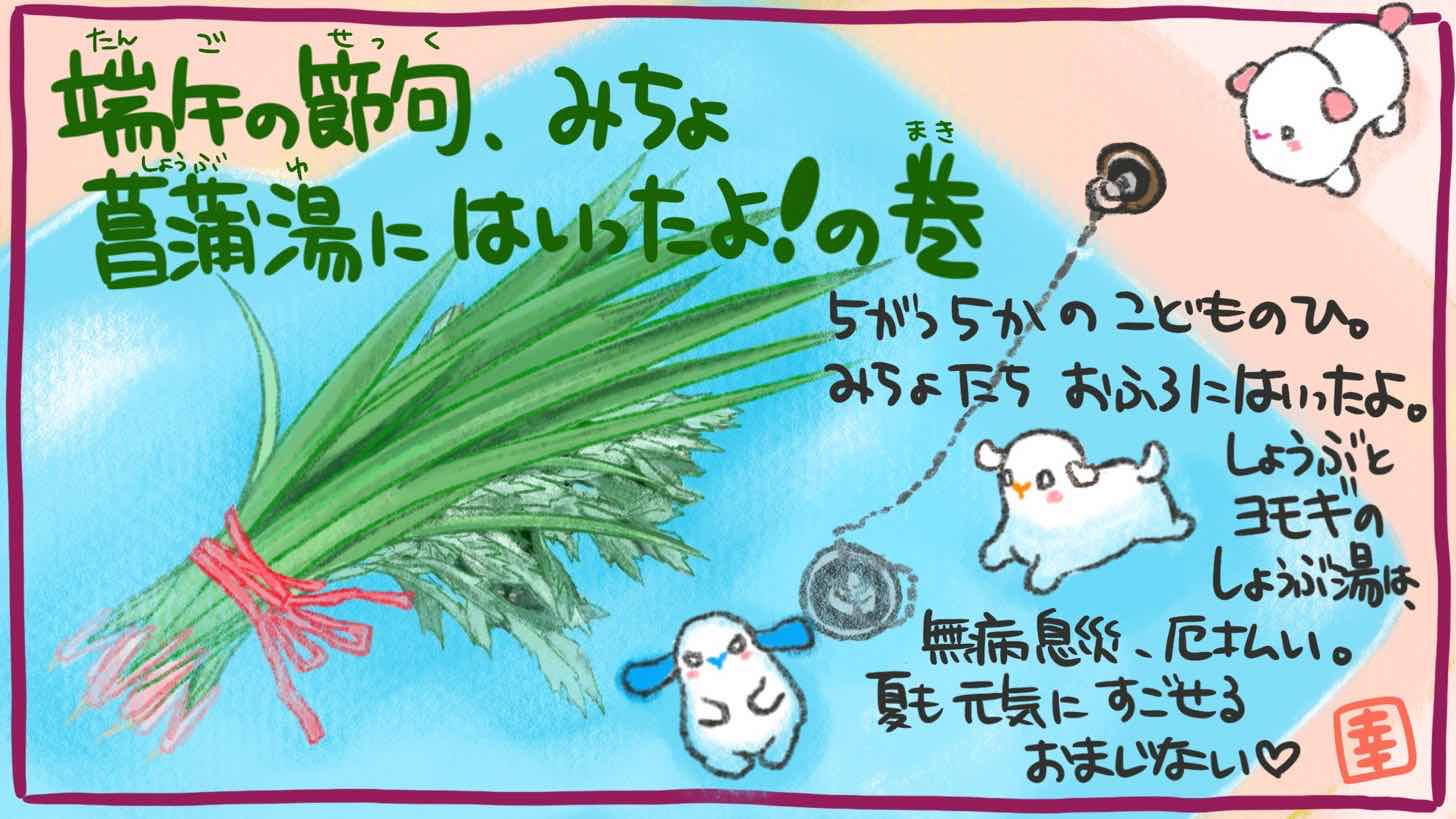 ひつじん日記 無病息災厄払い 五月五日の端午の節句 みちょたち菖蒲湯に入ったよ ゆきはな本舗